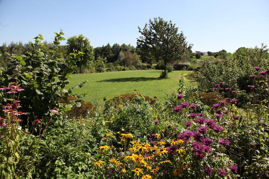 Bed and Breakfast La Citadelle D'Hututu Avesnes-sur-Helpe Экстерьер фото